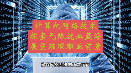 計算機網絡技術 探索無限就業藍海，展望璀璨職業前景