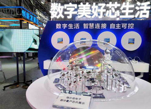數(shù)字美好芯生活 瑞芯微助力數(shù)字中國展會的互聯(lián)網(wǎng)技術(shù)服務(wù)